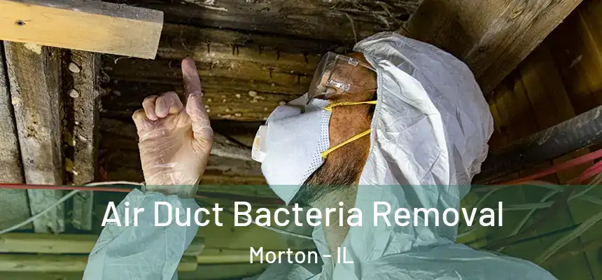 Air Duct Bacteria Removal Morton - IL