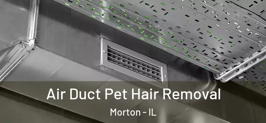  Air Duct Pet Hair Removal Morton - IL