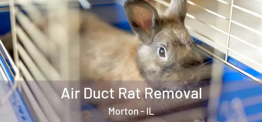  Air Duct Rat Removal Morton - IL