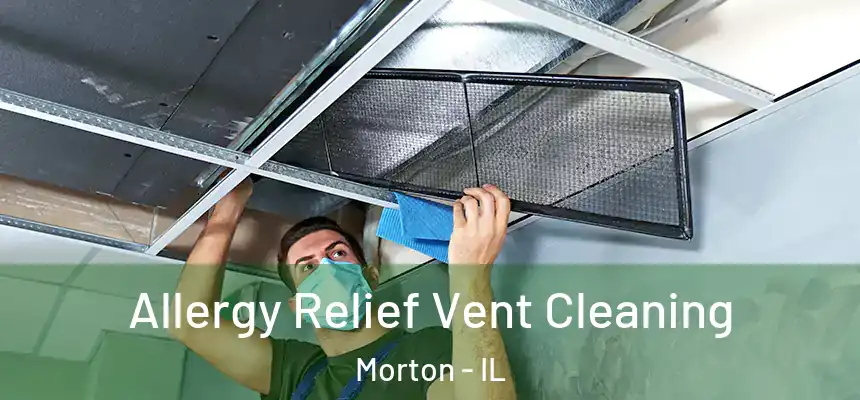  Allergy Relief Vent Cleaning Morton - IL