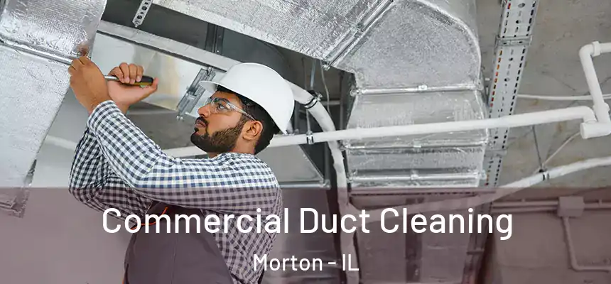  Commercial Duct Cleaning Morton - IL