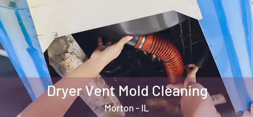  Dryer Vent Mold Cleaning Morton - IL