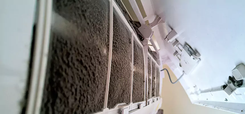 Preventive Air Duct Bacteria Removal in Morton