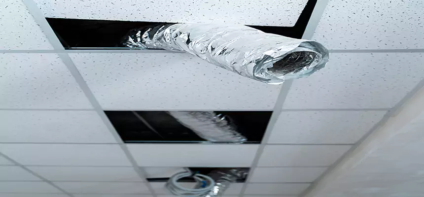 Affordable HVAC Sanitizing After Pest Removal in Morton