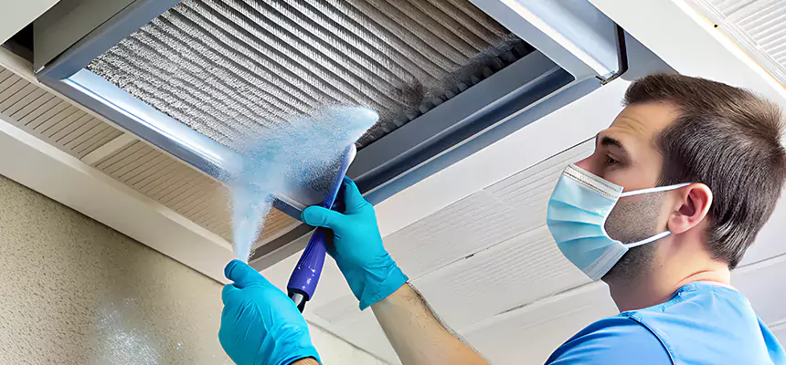 Proactive Dryer Vent & Auxiliary Duct Pollen Cleanup in Morton, IL