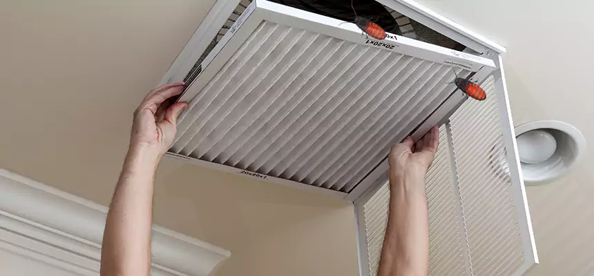 Our Insect Removal from Air Ducts Services in Morton, IL