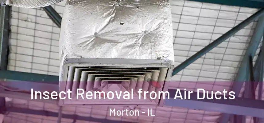  Insect Removal from Air Ducts Morton - IL