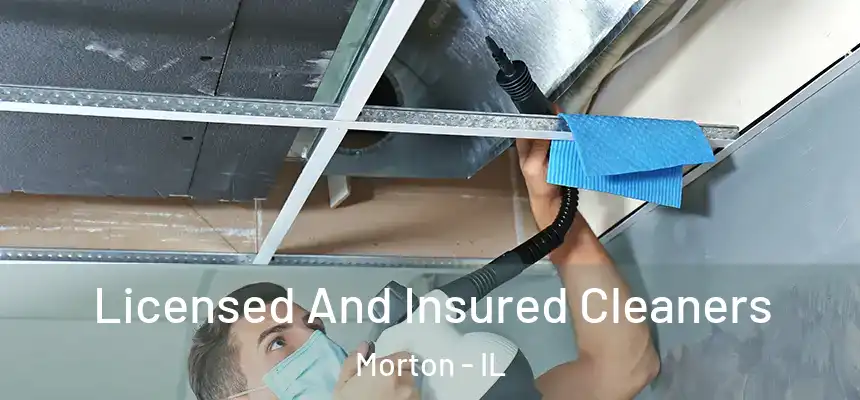  Licensed And Insured Cleaners Morton - IL