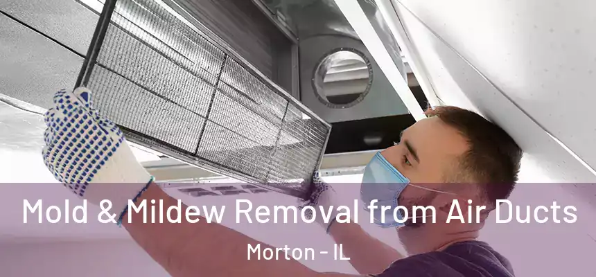  Mold & Mildew Removal from Air Ducts Morton - IL