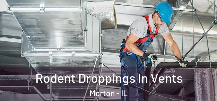  Rodent Droppings In Vents Morton - IL