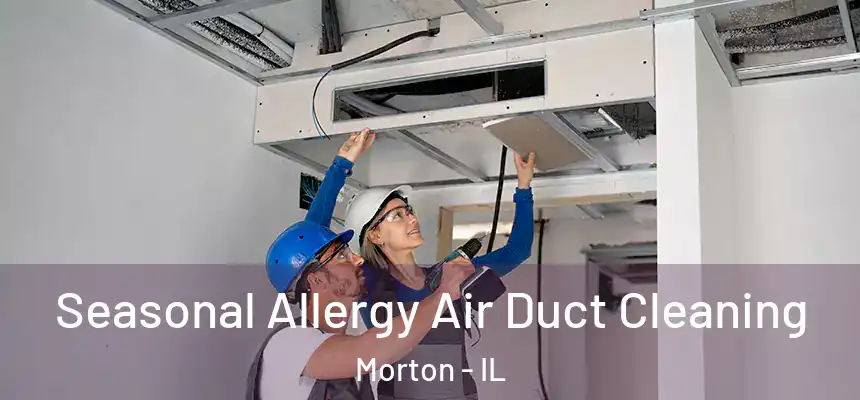  Seasonal Allergy Air Duct Cleaning Morton - IL
