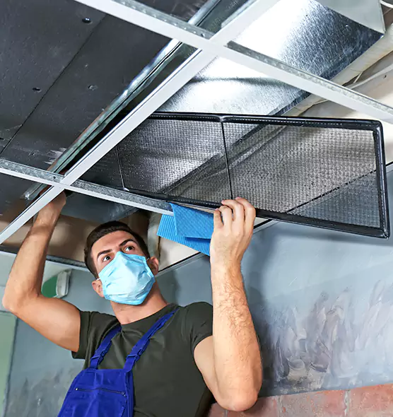 About Air Duct Bacteria Removal in Morton