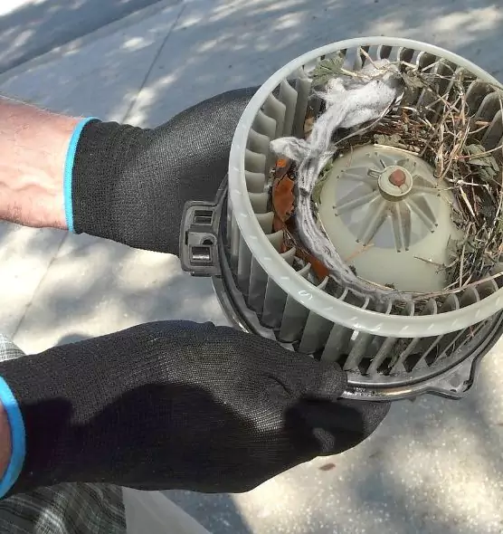 About Air Duct Rat Removal in Morton, IL