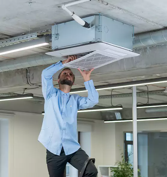 Advanced Rodent Droppings In Vents in Morton, IL