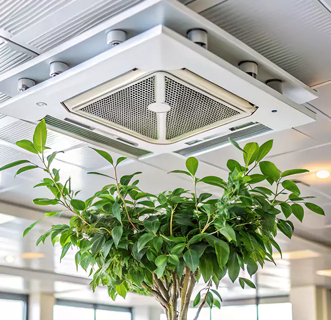 Why Homeowners & Businesses Trust Us in Morton, IL?