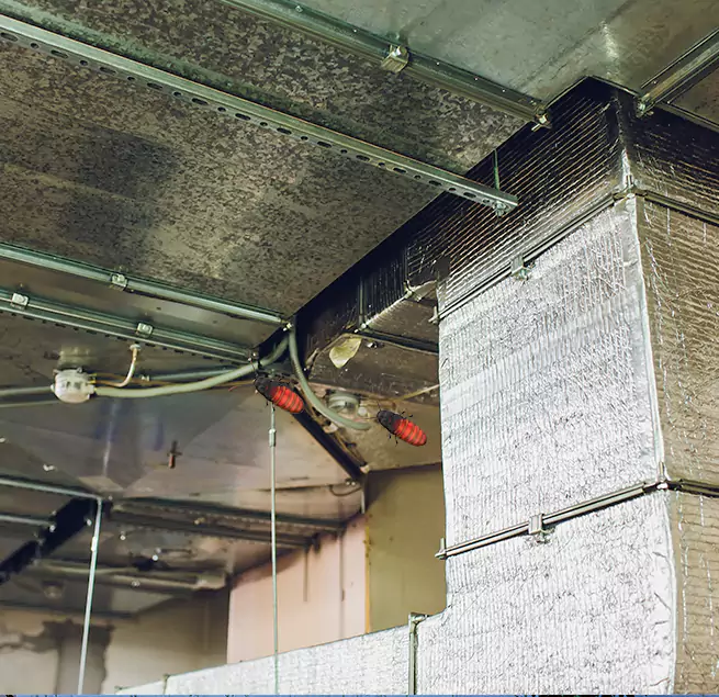 Why Homeowners & Businesses Trust Us Morton, IL?